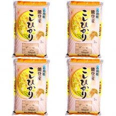 令和5年産　石川県能登産こしひかり　精米20kg(5kg×4袋)