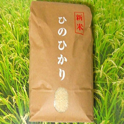 泉佐野市唯一のお米のふるさと納税
