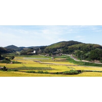 「2020年3月中旬発送」【令和元年産】田代の米　4.5kg