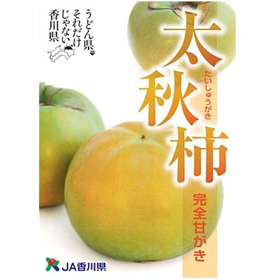 太秋柿　約3.7kg