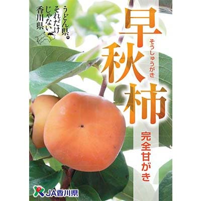 早秋柿　約3.7kg