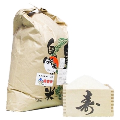 令和2年産　コシヒカリ10Kg(精米)