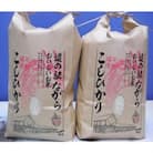 令和7年産　ながらのコシヒカリ　3kg×2袋(精米)