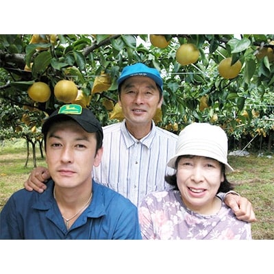 ここのえまち産電子技法栽培梨　約3kg