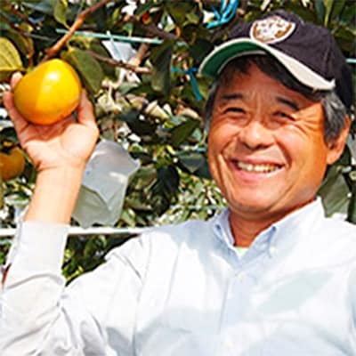 【産直】太秋柿(大玉)約2.5kg　5玉～8玉　緑伸園の夕焼け太秋