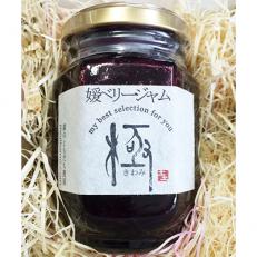 【B16】媛ベリージャム 極 | ふるさと納税のお礼品