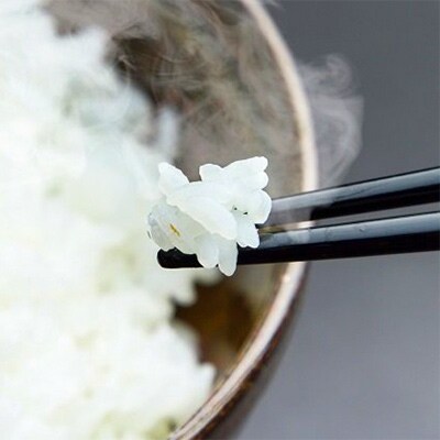 【2022年3月上旬発送】無洗米にこまる 5kg　罪悪感は必要ナシ!家事をサボってうまいお米を!