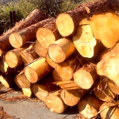 収納楽チン プロも愛用する四万十ひの木のまな板 おしゃれなターナー お礼品詳細 ふるさと納税なら さとふる