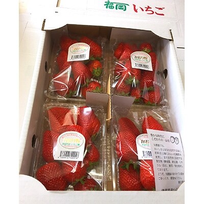 いちご「かおり野」300g×4パック