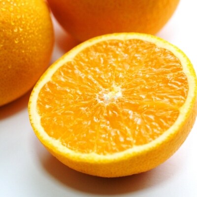 【厳選】有田産清見オレンジ10kg　サイズおまかせ・秀品