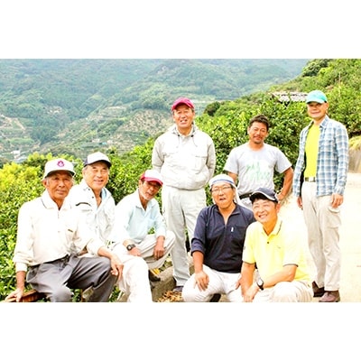 和歌山しもつ産 蔵出しみかん 5kg S～Lサイズ