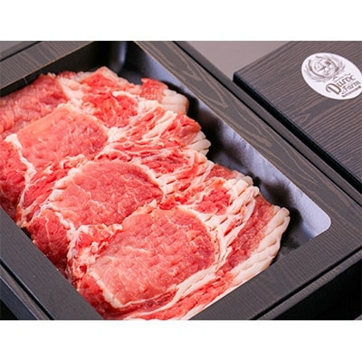 【産直!がっつり1kg!】ブランドポークの豪快厚切り柔らかステーキ2種セット