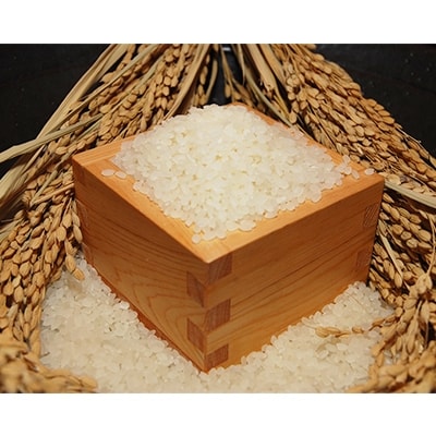 鹿深の味食べ比べ1kg×3本セット