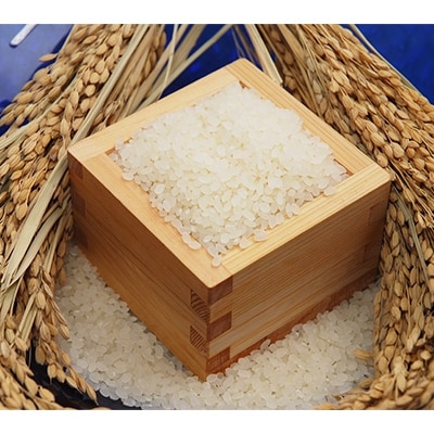 鹿深米 5kg