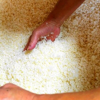 【四万十町産の米糀(こうじ)を使用】話題の塩糀3種類セット