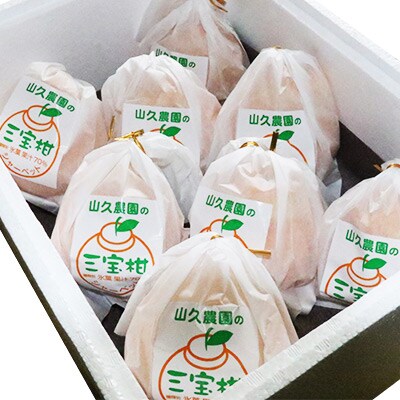 まるごと三宝柑シャーベット 8個セット