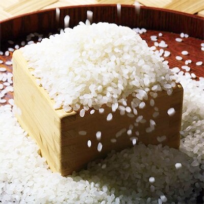 【武吉米穀店人気のお米】ウソのような本当の香りに感動!仁井田米5kg