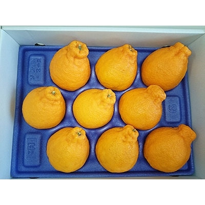 【5月～7月発送】初夏に味わえる柑橘　貯蔵デコポン　約2.7kg