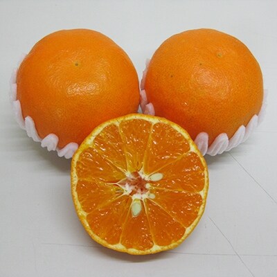 高松産季節の果物【柑橘の救世主　あすみ】約1kg