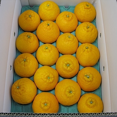 高松産季節の果物【ご家庭用　デコポン】約4.5kg