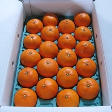 高松産季節の果物【ご家庭用　せとか】約4.5kg