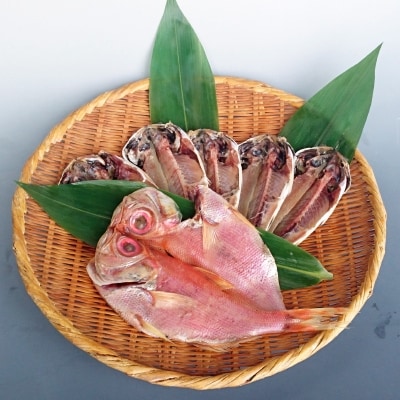 【ほうえい】 ひものセットB