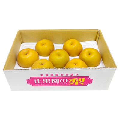 神奈川県中井町産　新高大玉(5kg)