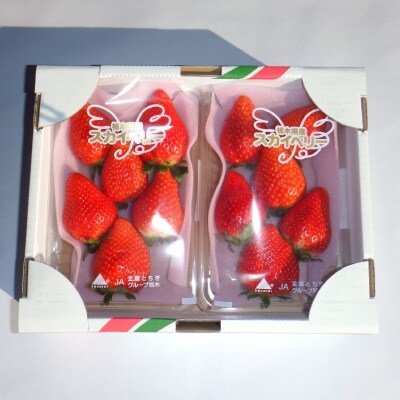 上野イチゴ農園のいちご「スカイベリー」315g×2パック