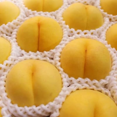 桃(黄貴妃 小玉)約5kg