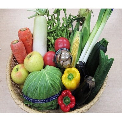 岩手町産の旬野菜セット