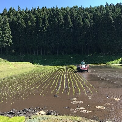 【平成30年産】信州の環境にやさしい農産物認証 和(むすび)米 15kg