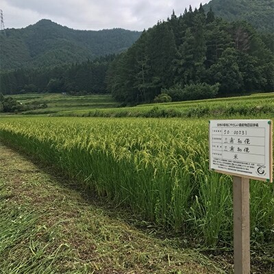 【平成30年産】信州の環境にやさしい農産物認証 和(むすび)米 15kg