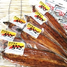 【6尾】九州産うなぎ蒲焼<大サイズ・6尾840g以上>タレ付