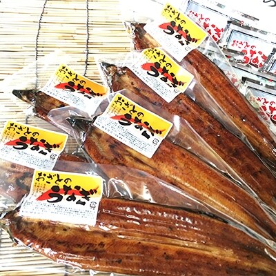 【6尾】九州産うなぎ蒲焼<大サイズ・6尾840g以上>タレ付