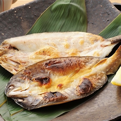 岩魚の一夜干し 10尾セット