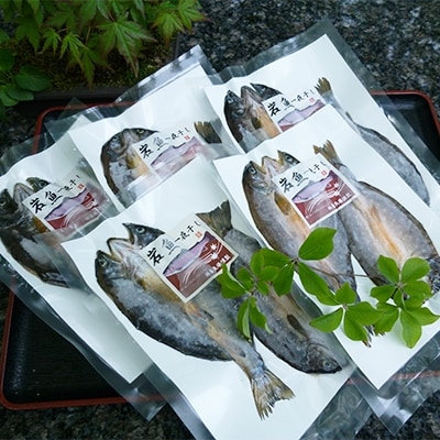 岩魚の一夜干し 10尾セット お礼品詳細 ふるさと納税なら さとふる 岩魚の一夜干し 10尾セット お礼品詳細 ふるさと納税なら さとふる