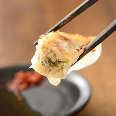 浜松発!いえやす自慢の浜松餃子!4種を楽しむバラエティーセット
