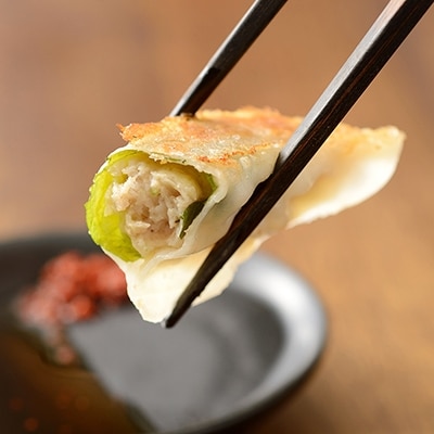 浜松発!いえやす自慢の浜松餃子!4種を楽しむバラエティーセット