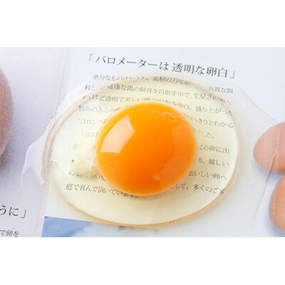 ベジタブル鶏卵!(茶卵) (6個入×2パック入)