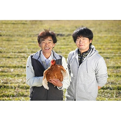 ベジタブル鶏卵!(茶卵)　(6個入×2パック入)