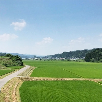 【青森ごのへ産】 パリッと、シャキッとした王林 約5kg(16～20玉)