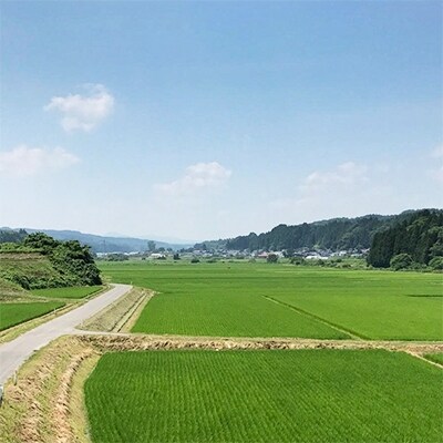 【青森ごのへ産】 パリッと、シャキッとした王林 約10kg(32～40玉)
