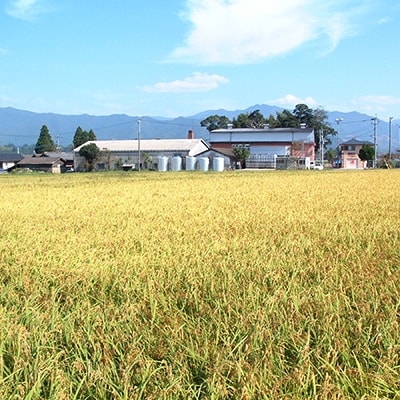 本格芋焼酎　王道楽土・吟王道2本セット