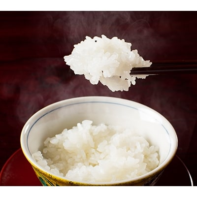 【令和6年産】【高級】南魚沼しおざわ産こしひかり5kg(無洗米)×2袋