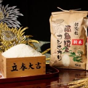 コシヒカリのお礼品 返礼品一覧 ふるさと納税サイト さとふる