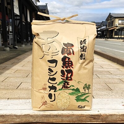 「2020年3月中旬発送」【高級】南魚沼産こしひかり5kg(玄米)×4袋