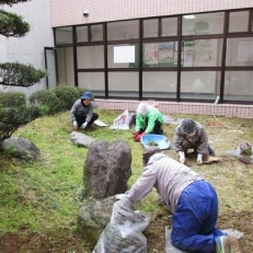 草取り(除草)サービス