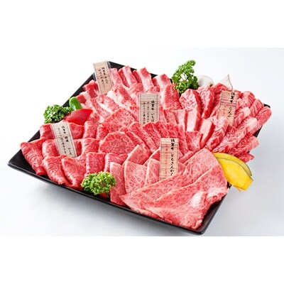 佐賀牛希少部位焼き肉セット(匠)1kg