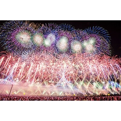 【先着500席限定】第93回全国花火競技大会「大曲の花火」会場中央付近イス観覧席券1枚(1席分)