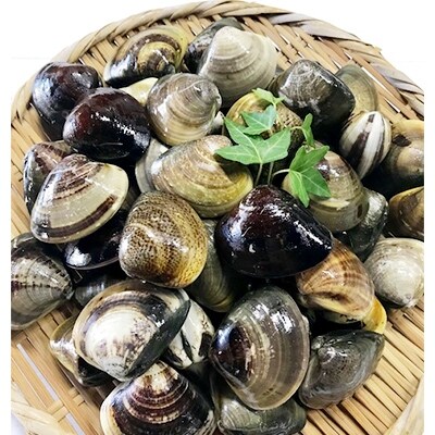 マルヨシ水産 桑名産中粒天然蛤1.4kg(約46個)m_55